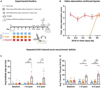 Acute effects of single and repeated mild traumatic brain injury on levels of neurometabolites, lipids, and mitochondrial function in male rats